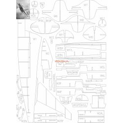 Lasercutset für M-346 Bielik