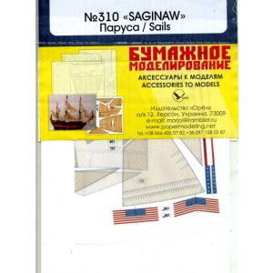 Segel für USS Saginaw